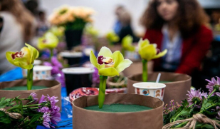 Национальный еврейский праздник Ту би-шват