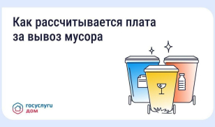 Разная плата за вывоз мусора в соседних домах — это нормально