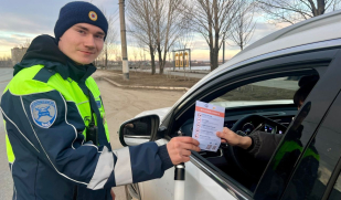 Операция «Миграция» – почему в Сызрани несколько дней массово тормозили машины