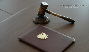 По решению суда осужденная гражданка Кыргызстана продолжит отбывать наказание на родине